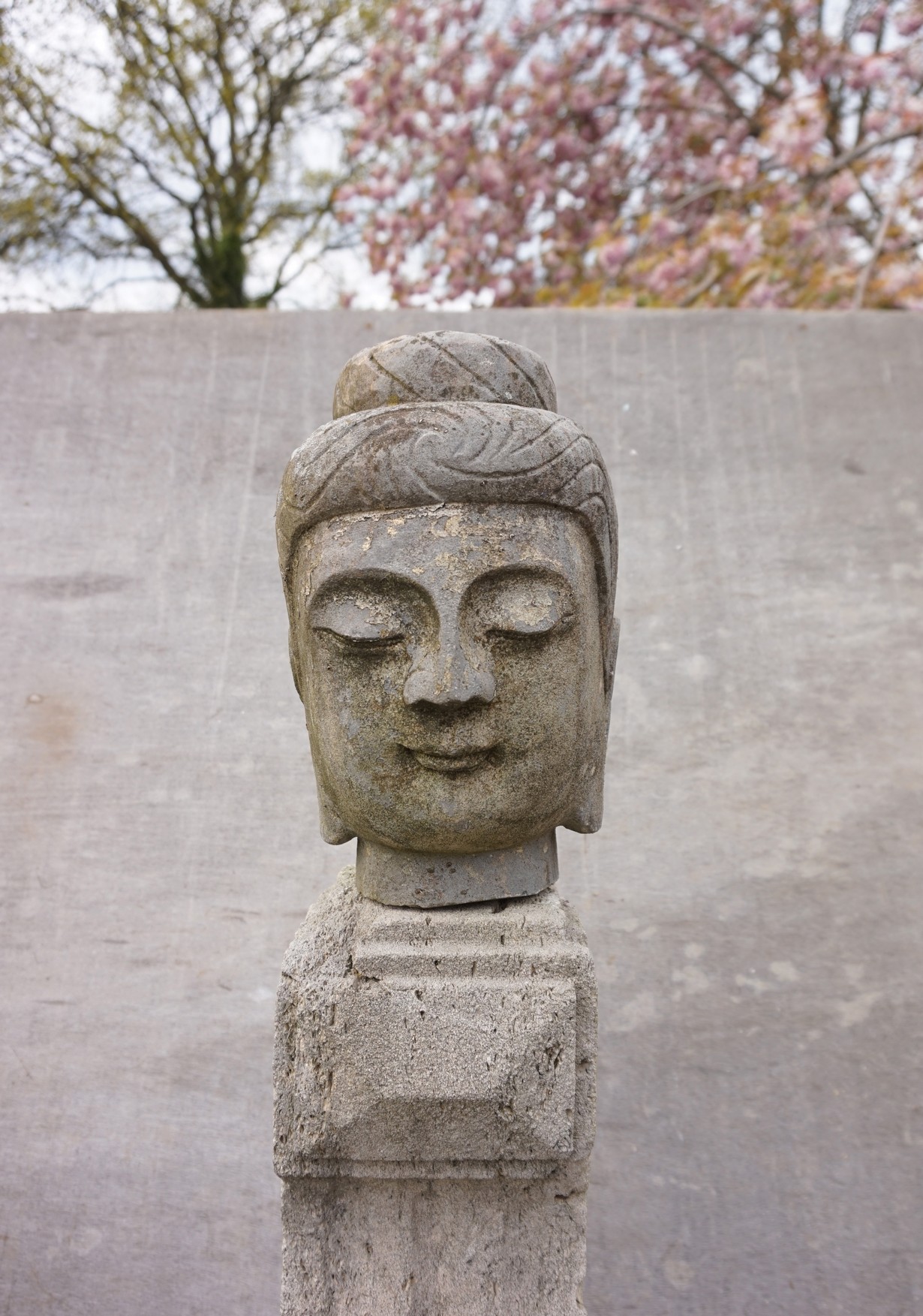 Krachtcel geroosterd brood omzeilen oud antiek stenen Boeddha hoofd