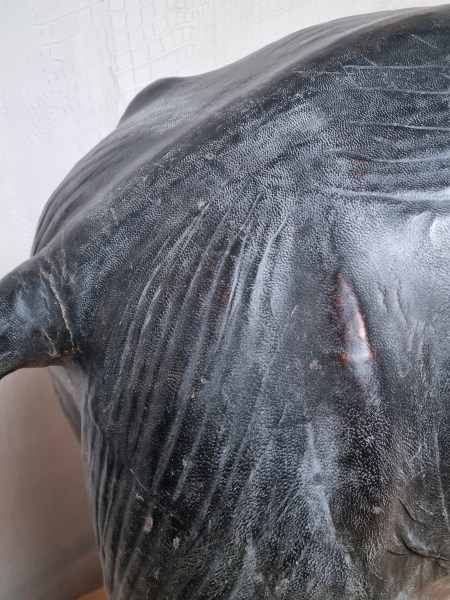 Large-Leather-elephant-sculpture-antieke-grote-leren-olifant-vintage-antique-glass-eyes-liberty-omersa-00012