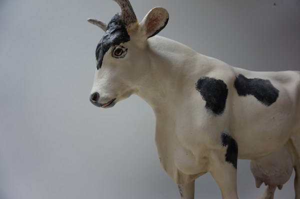 antieke-gipsen-koe-slagerij-etalage-beenhouwerij-plaster-oud-model-old-cow-butchery-vintage-shop-display-06