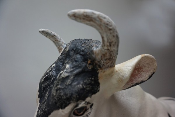 antieke-gipsen-koe-slagerij-etalage-beenhouwerij-plaster-oud-model-old-cow-butchery-vintage-shop-display-09