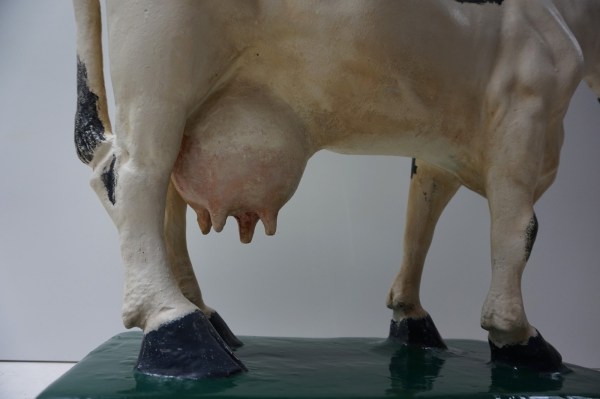 antieke-gipsen-koe-slagerij-etalage-beenhouwerij-plaster-oud-model-old-cow-butchery-vintage-shop-display-12