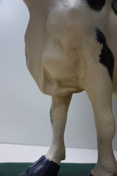 antieke-gipsen-koe-slagerij-etalage-beenhouwerij-plaster-oud-model-old-cow-butchery-vintage-shop-display-19