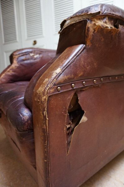 fauteuil Chesterfield clubfauteuil anglais ancien en cuir marron abîmé à restaurer