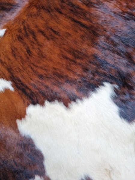 koevel-koeienhuid-koeienvel-vloerkleed-koeien-kleed-cowhide-koeienvacht-nieuw-vintage-bruin-00002