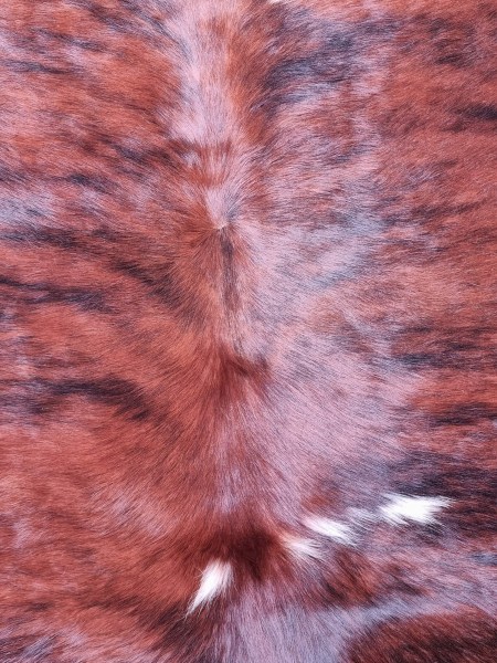 koevel-koeienhuid-koeienvel-vloerkleed-koeien-kleed-cowhide-koeienvacht-nieuw-vintage-bruin-00005