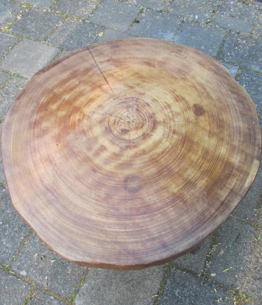 Vintage design boomstam tafel, salontafel, trunk table