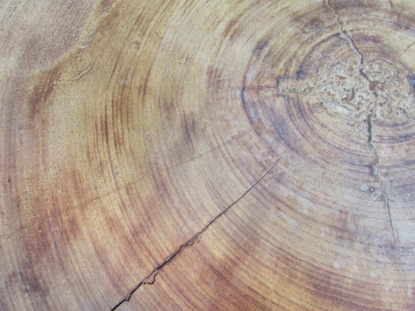 Vintage design boomstam tafel, salontafel, trunk table