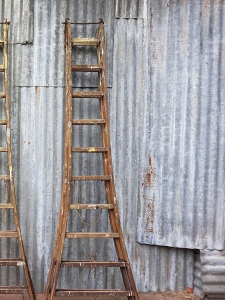 vintage-houten-dubbele-ladder-industrieel-schildersladder-glazenwasser-wooden-échelle-double-Alboom-Wetteren