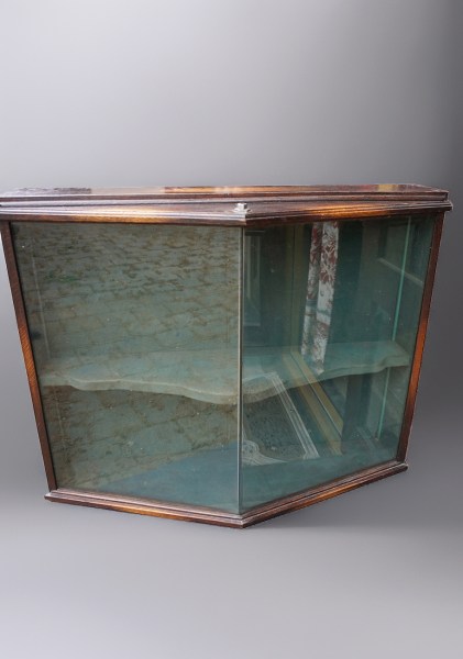 vitrinekast-wandvitrinekast-hangvitrinekast-prijzenkast-achterkant-open-voorkant-dicht-hanging-wall-display-trophy-cabinet